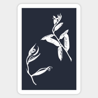 White outline on a white background. Author's drawing of a plant. Sticker